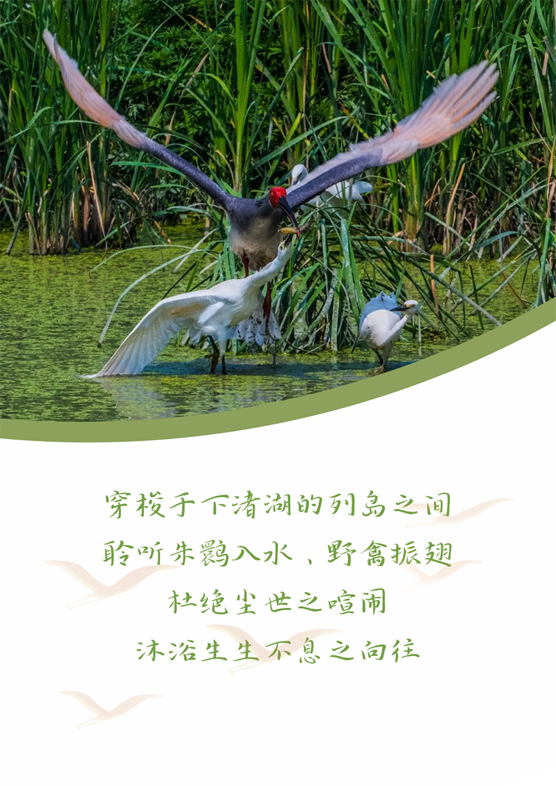 心心念廿 相伴AG尊时凯龙人生就博 | 与德清相约 贺廿载诞辰